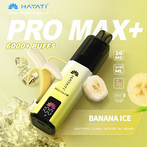 Hayati Pro Max+ 6000 Prefilled Pod